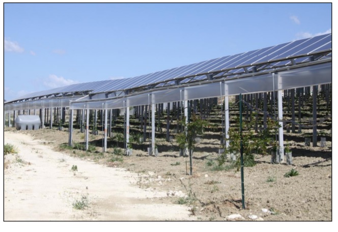 Una parte del campo a Porto Empedocle (AG)