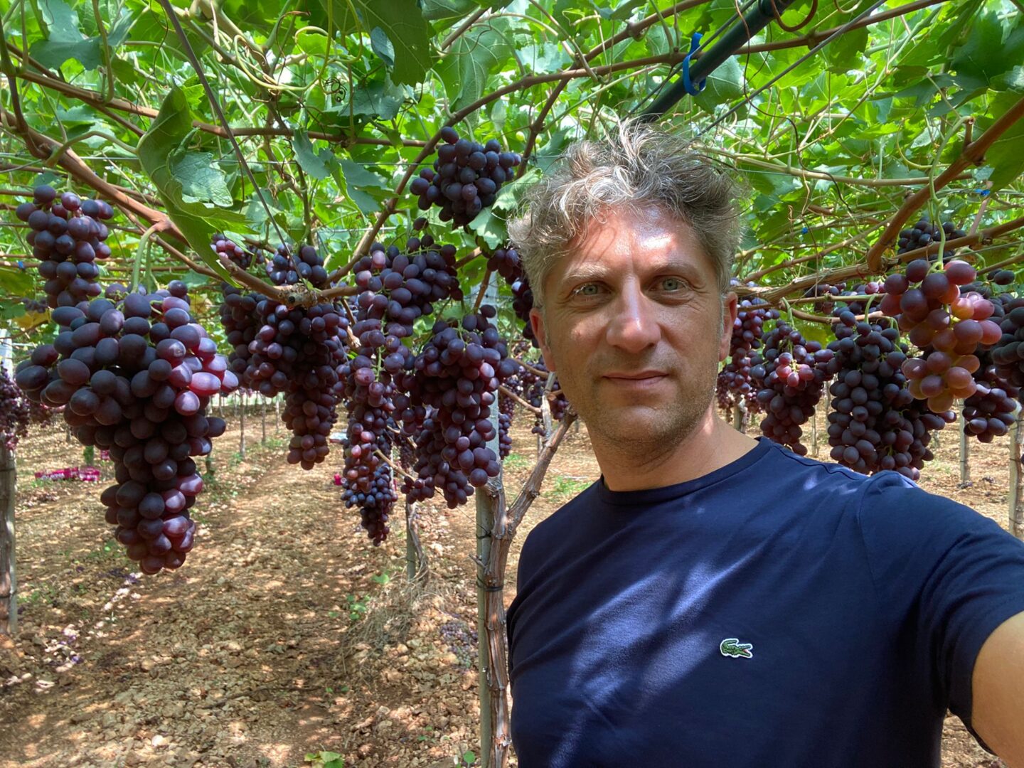 Vito Liturri: responsabile di produzione per Agricooper S.r.l.