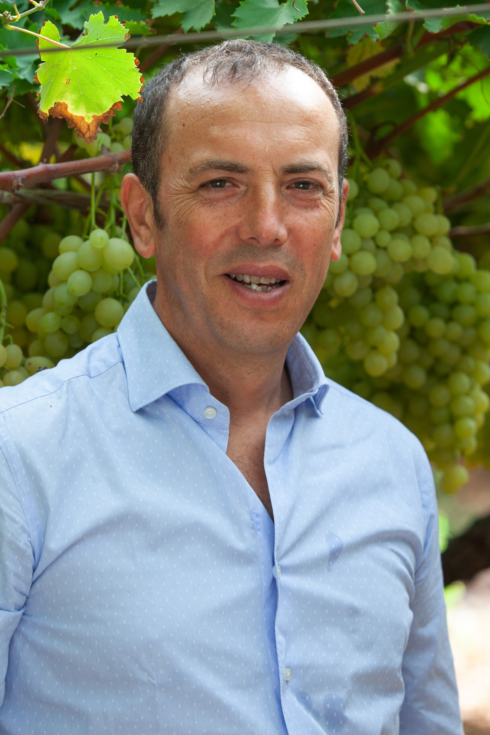 Nicola De Vecchio, Technical sales Representative di Bayer