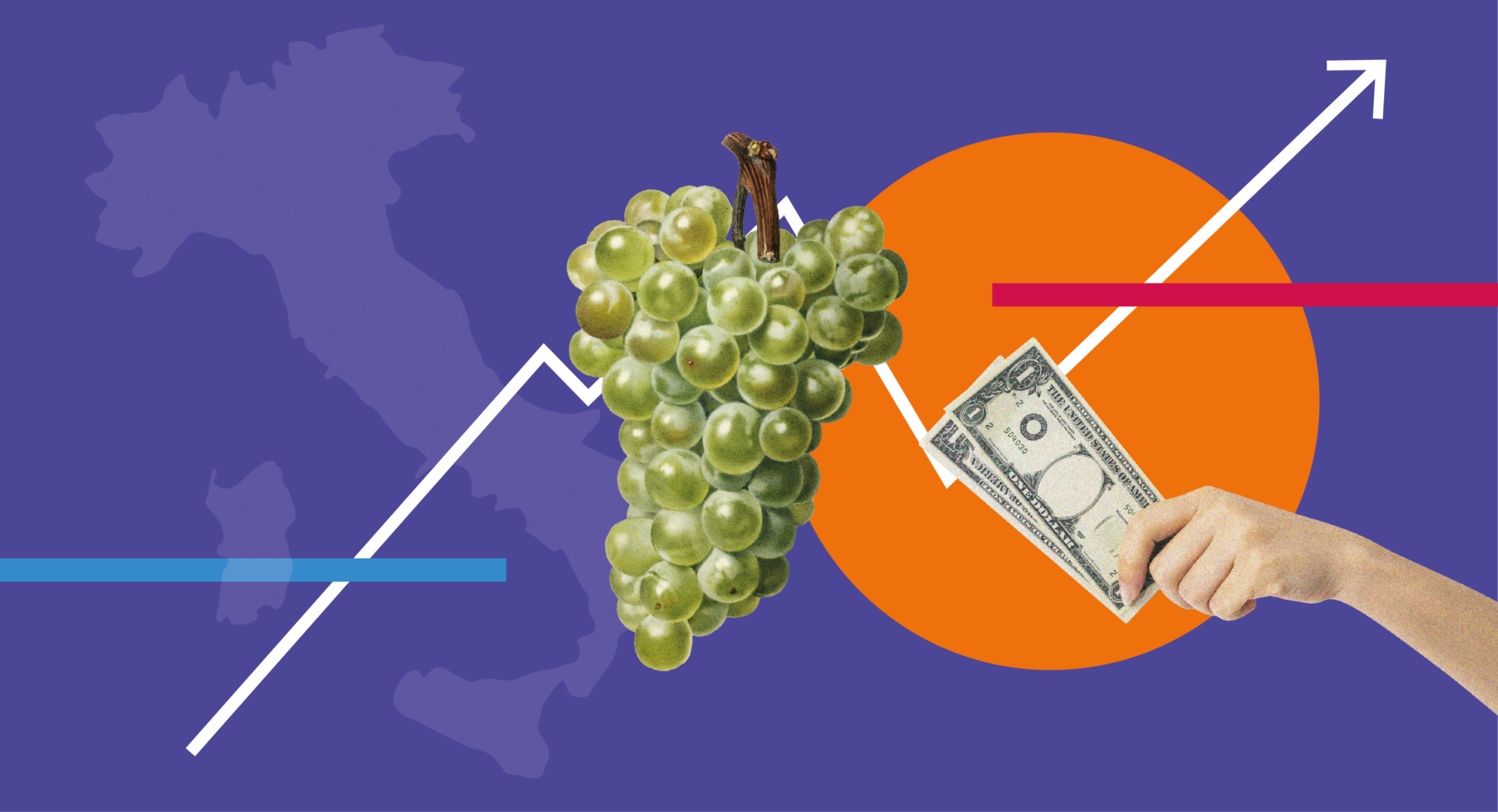 costi di produzione uva da tavola