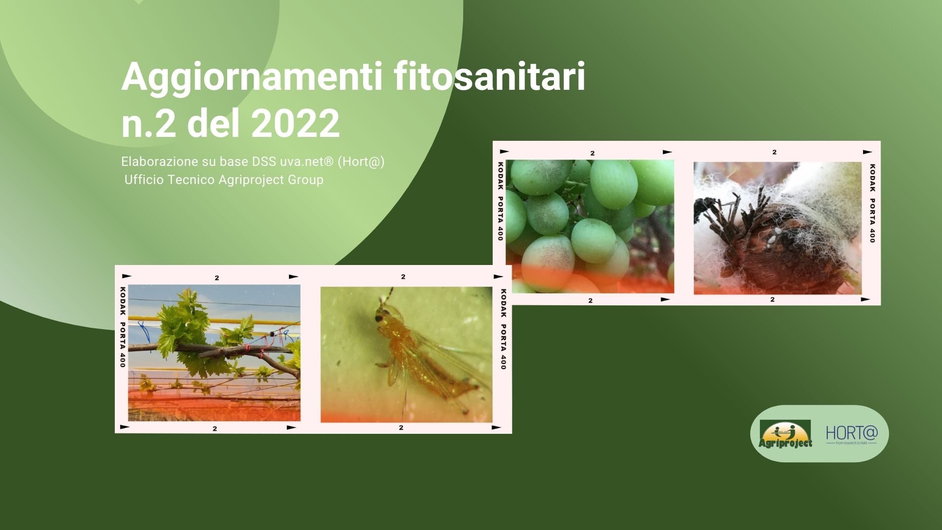 Aggiornamento Fitosanitario