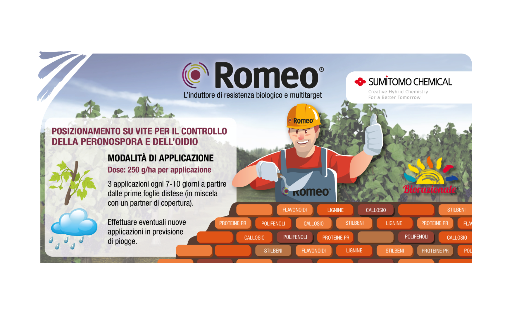 ROMEO®