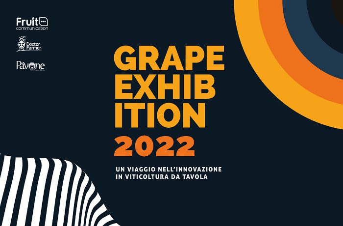 Grape Exhibition