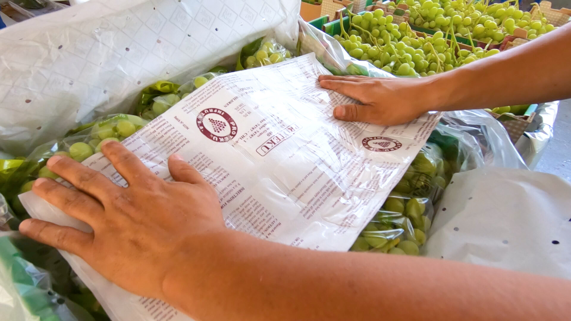 sostenibilita-ambientale