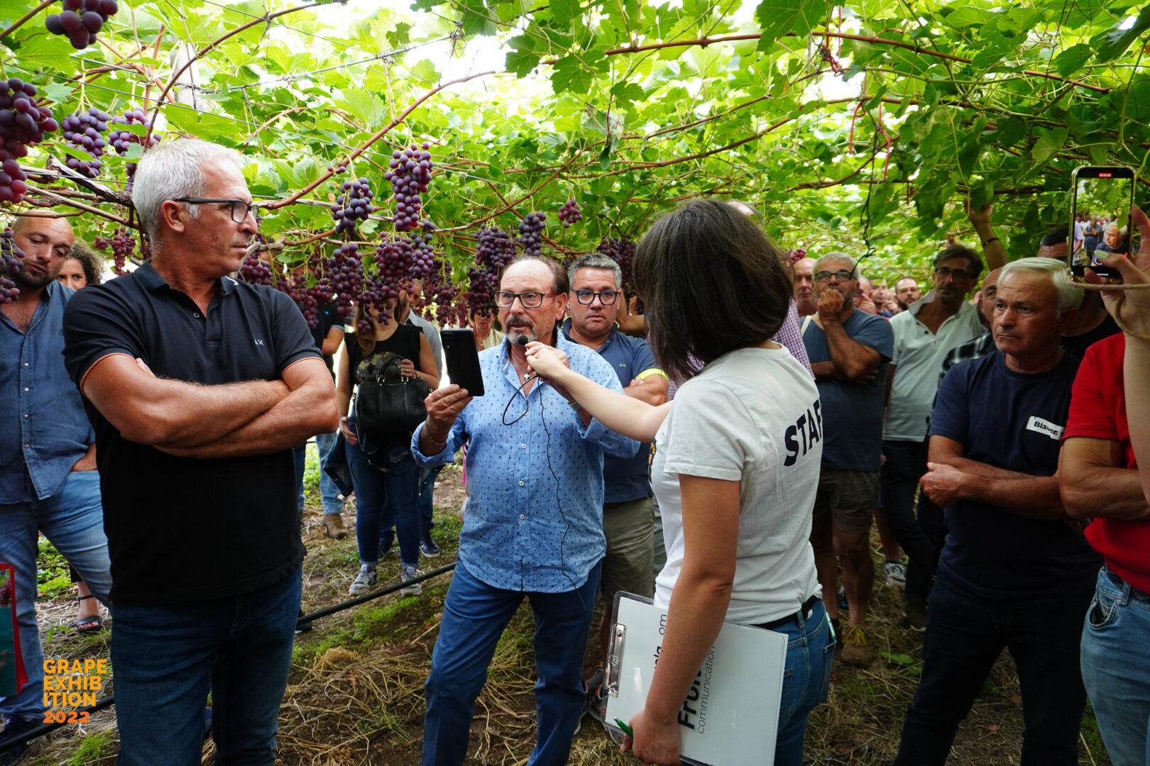 Innovazione grape exhibition