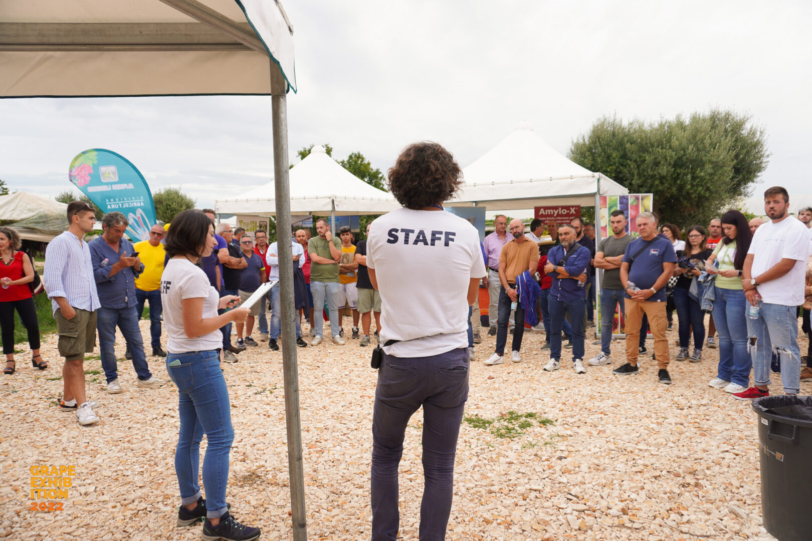 innovazione grape exhibition