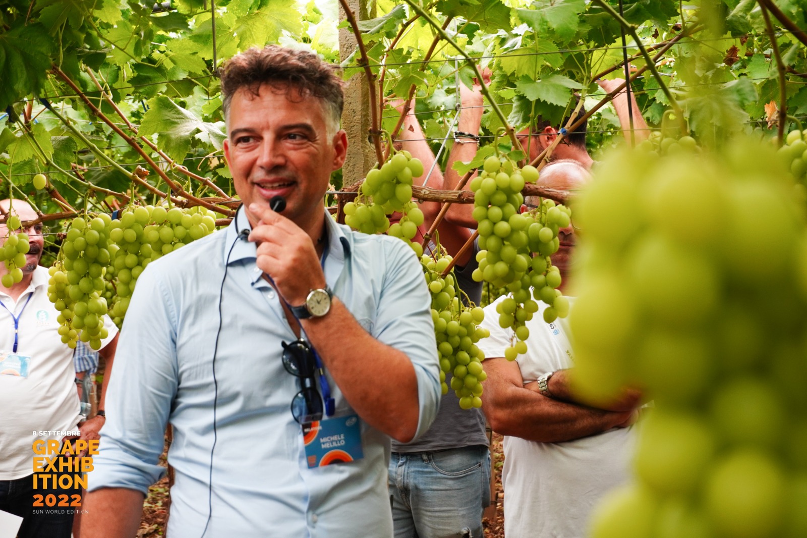 GRape Exhibition Michele Melillo 