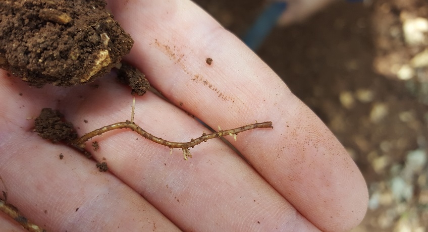 nutrizione autunnale