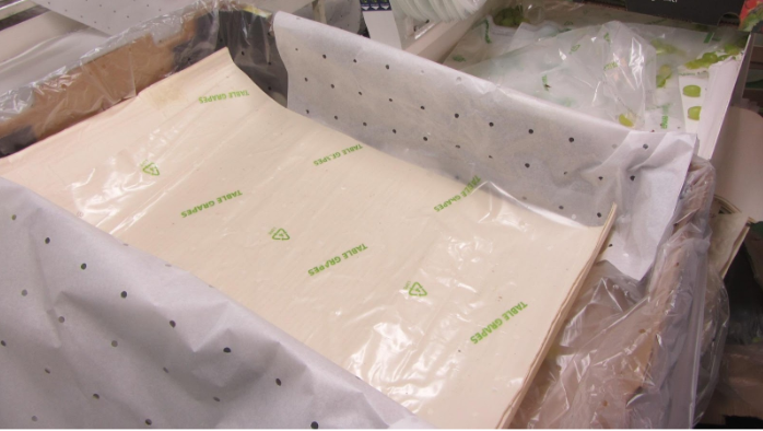 post raccolta dell'uva