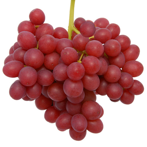 varietà di uva Sweet Scarlet
