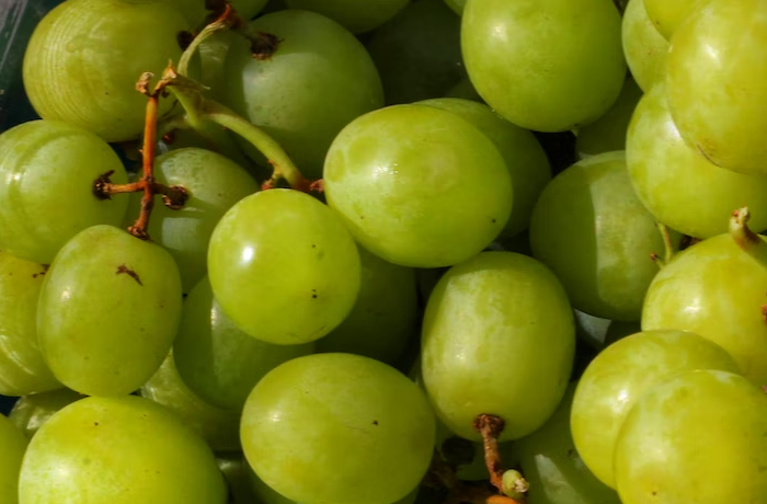 uva da tavola