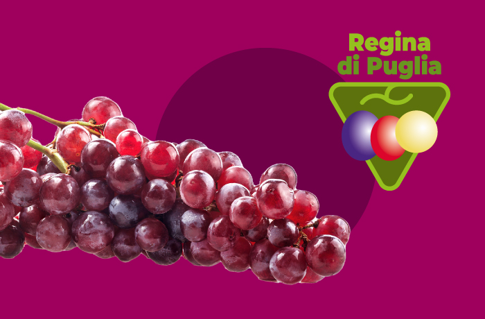 uva senza semi