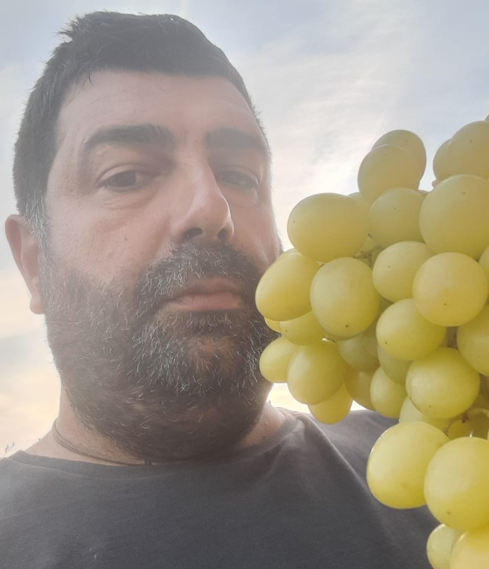 serini uve tardive 2023