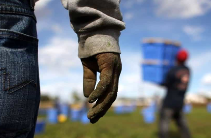 lavoratori agricoli extracomunitari click day