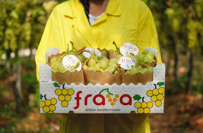 vite da tavola puglia