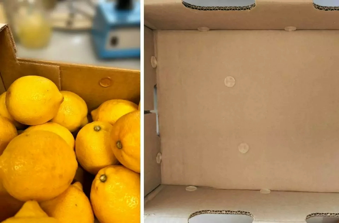 Bollino salvafreschezza