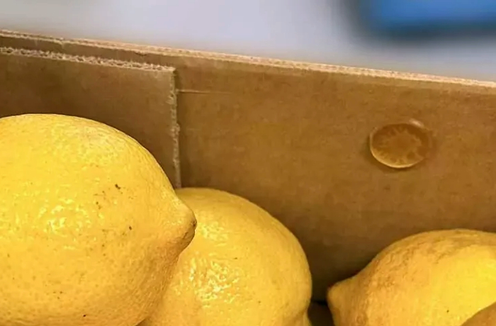 bollino salvafreschezza