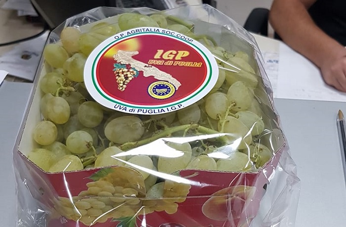 consorzio-uva-di puglia igp