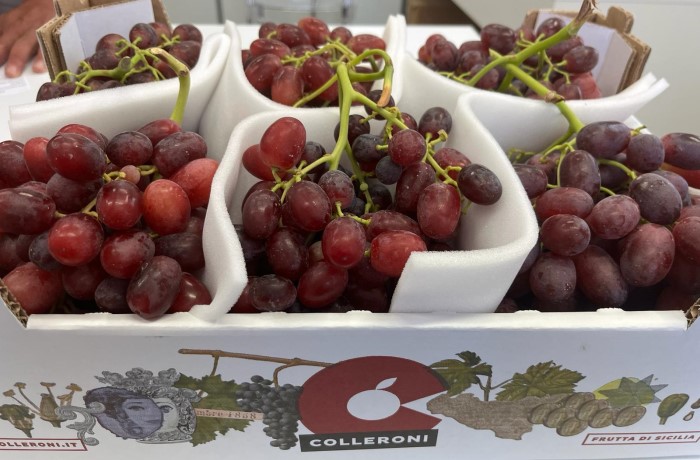 uva da tavola siciliana 2