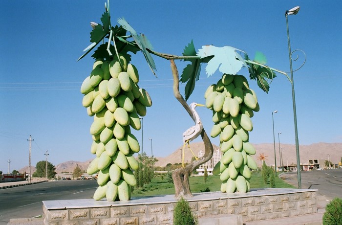 viticoltura 3