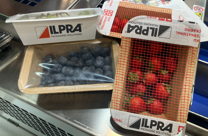 ILPRA VASCHETTE ORTOFRUTTA
