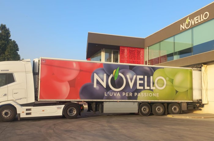 novello uva da tavola commercializzazione