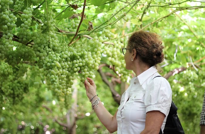 bonus agricoltura donne