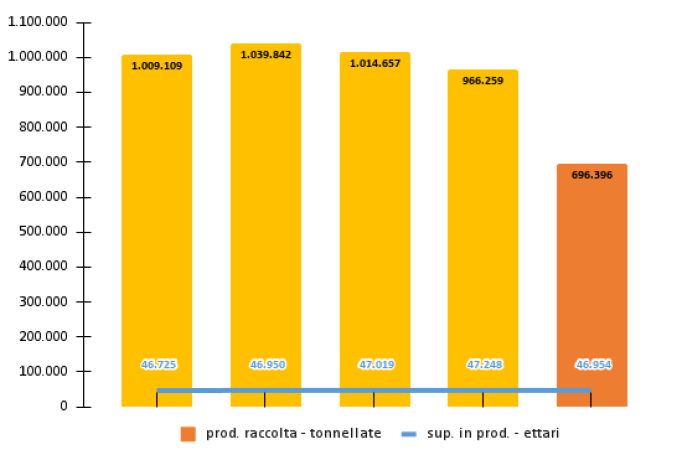 uva da tavola - produzione