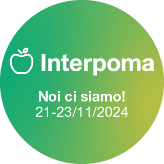 allungamento del rachide 1