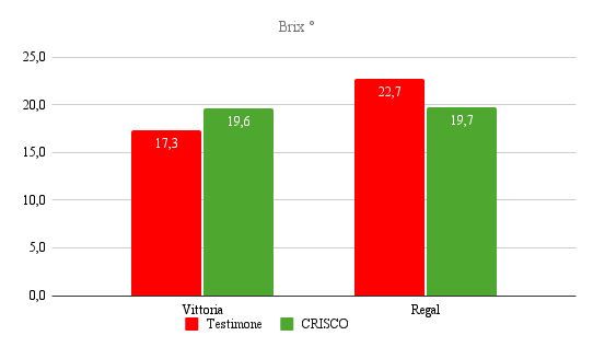 allungamento del rachide - grado Brix