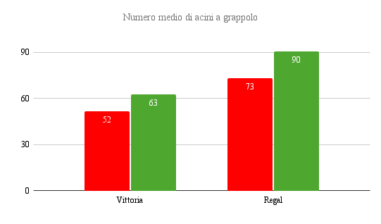 allungamento del rachide - numero medio acini