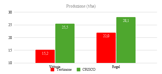 allungamento del rachide - produzione