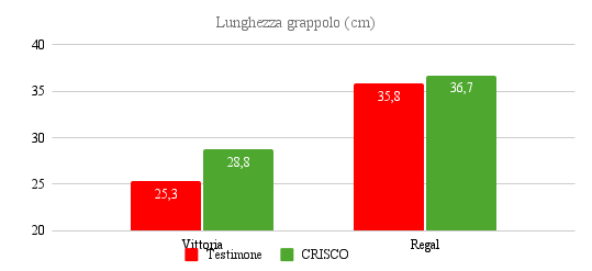 allungamento del rachide