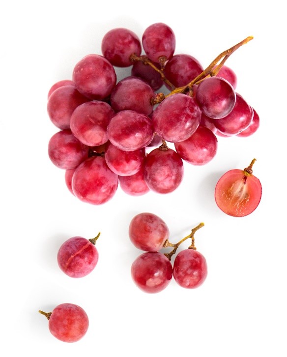 excelero 1 uva rossa