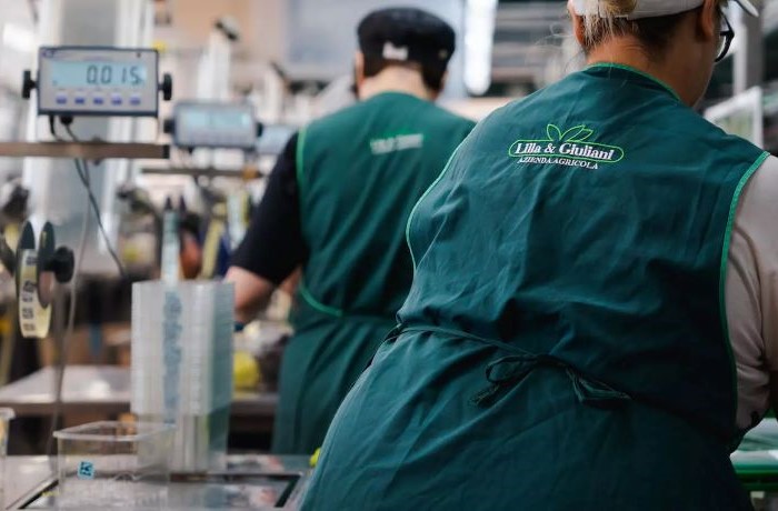 uve tardive lilla e giuliani