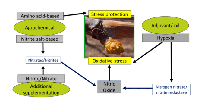 interruttori di dormienza 2 (1)
