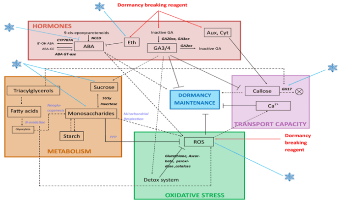 interruttori di dormienza fig.1 (1)