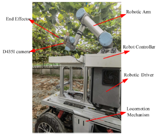 raccolta dell'uva - robotizzata