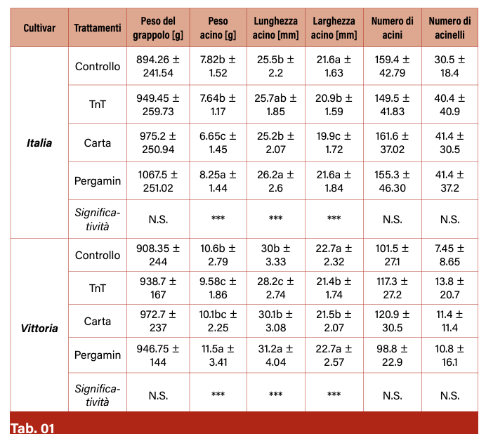 tab 1 grappoli sacchetti