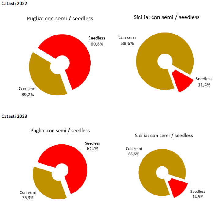 Uva da tavola - differenze tra Puglia e Sicilia
