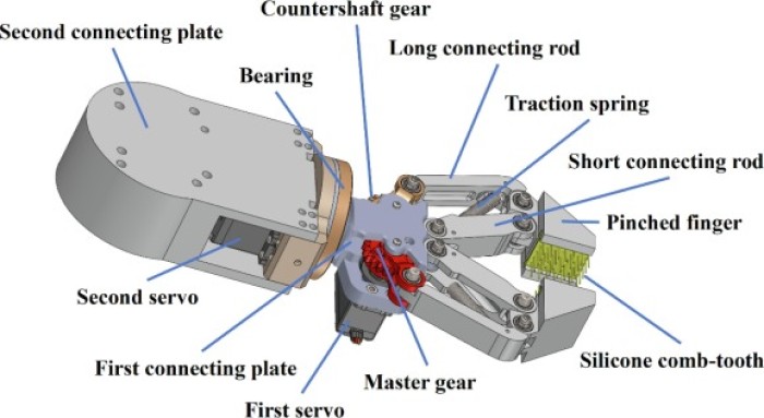 diradamento dell'uva