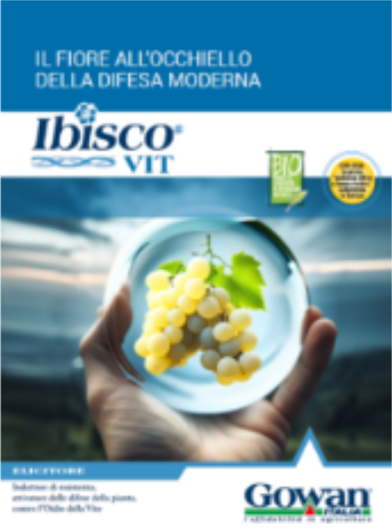 ibisco 4
