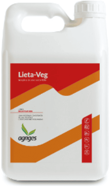 uva da tavola lieta-veg