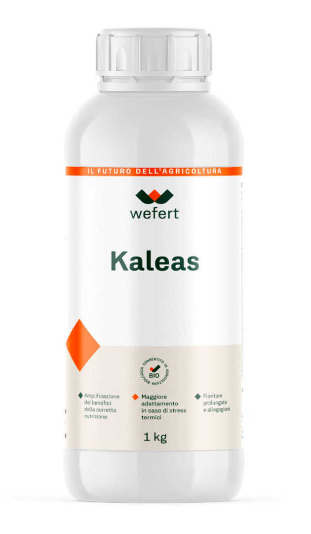 wefert - Kaleas_1kg