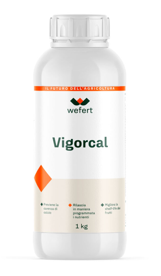 wefert - Vigorcal_1kg