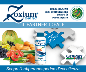 ZOXAMIDE 240 SC banner 300x250-2025