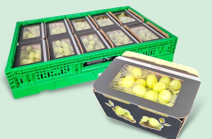 packaging sostenibile cartonpack