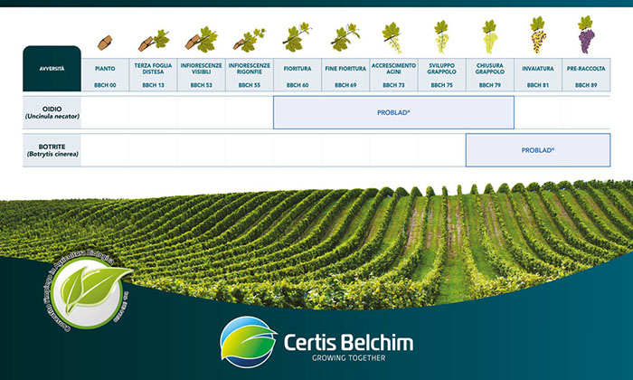 CERTIS BELCHIM-Calendario Fenologico PROBLAD-1000x600 v2