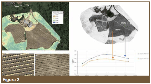 soil health 2 (1)