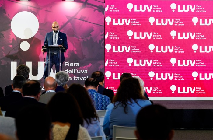 table grape conference 2024